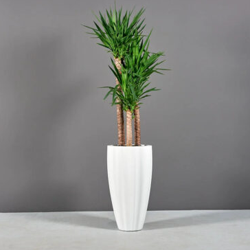 San Jose Fluted Planter