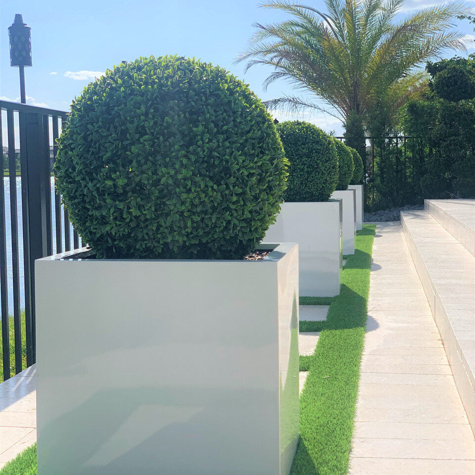 Large Block Fiberglass Planter with 20″ Topiary
(1 in Stock)