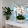 Avenue Bowl with White Phalaenopsis Orchids