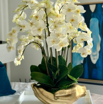 White Phalaenopsis Orchids in Gold Open Hands Sculpture Vase