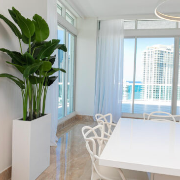 Bird of Paradise with Jort Slim Medium Planter in Glossy White