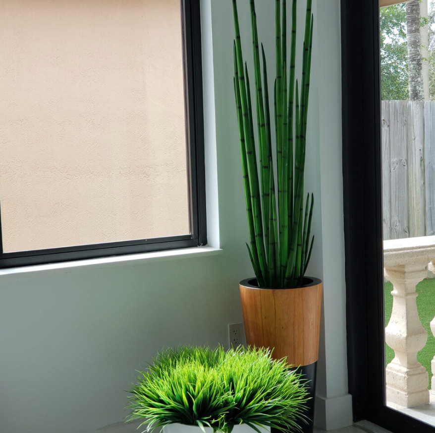 Snake Grass with Lux Planter in Black