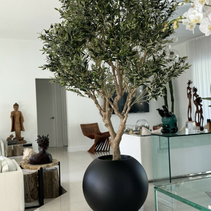 Olive Tree in Matte Black 76 cm Globe Planter