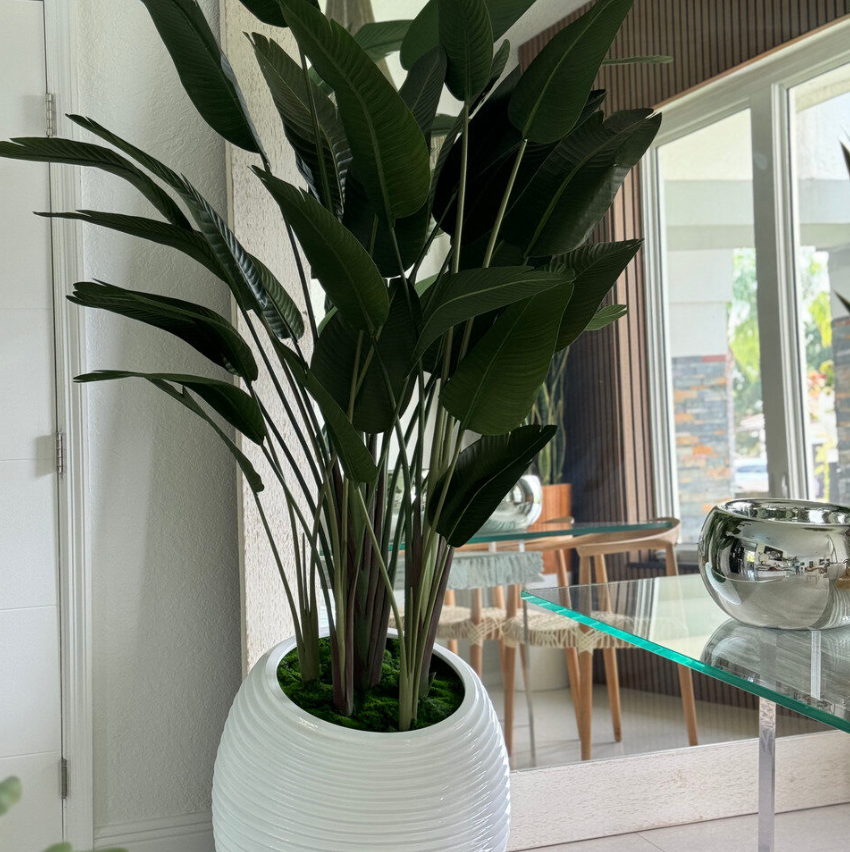 Bird of Paradise in White Spiral Planter