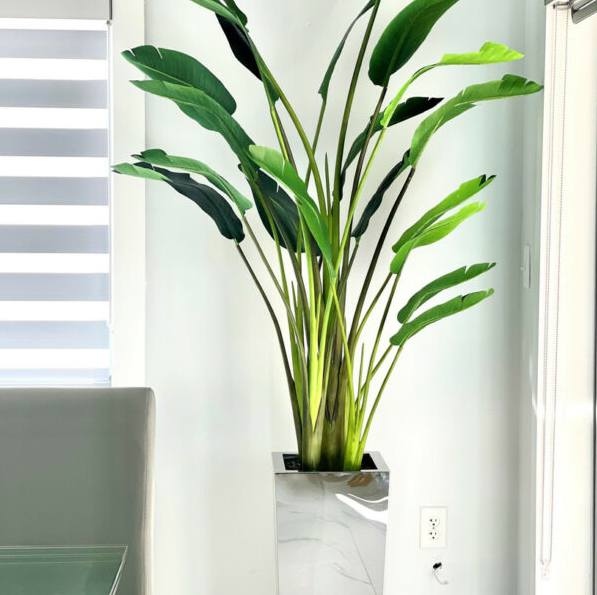 Medium square vase in stainless steel with Bird of Paradise (2.13 m).