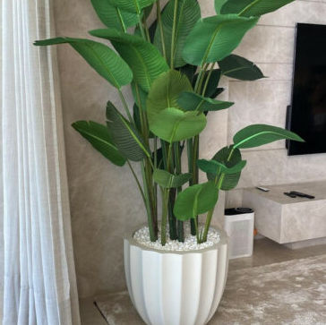 Santa Bárbara Planter in matte beige with Bird of Paradise.