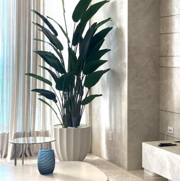 Santa Bárbara Planter in matte beige with Bird of Paradise.