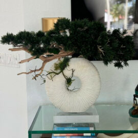 Medium Eternity Vase with Trailing Bonsai Tree and Driftwood