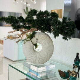 Medium Eternity Vase with Trailing Bonsai Tree and Driftwood