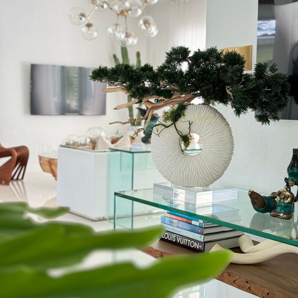 Medium Eternity Vase with Trailing Bonsai Tree and Driftwood