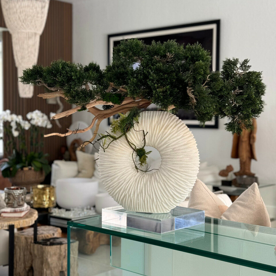 Medium Eternity Vase with Trailing Bonsai Tree and Driftwood