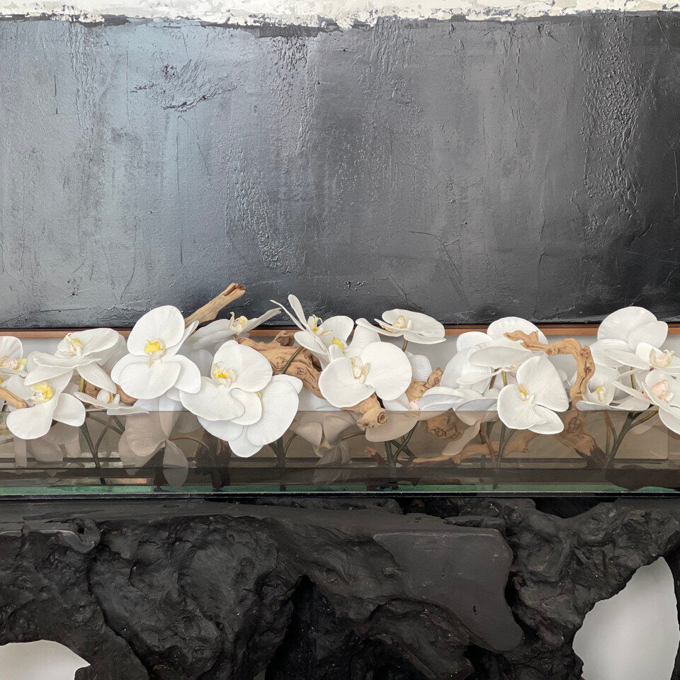 48″ Casa Moderna Black Tinted Glass Plate Planter with white Phalaenopsis orchids