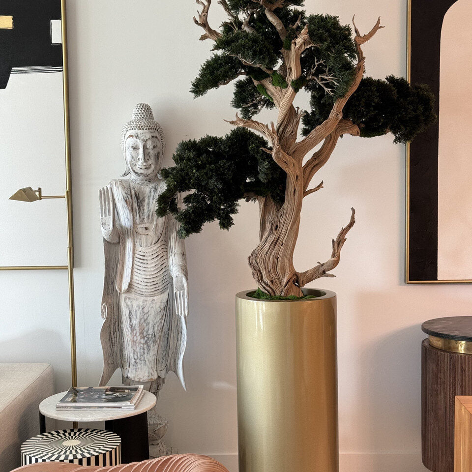 Bonsai in Saint Tropez Planter