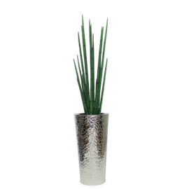 Silver Hammered Stainless Steel Tapered Cone with Medium Snake Grass Plant