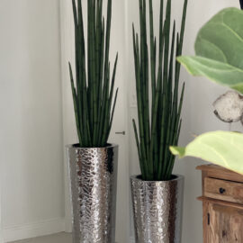 Silver Hammered Stainless Steel Tapered Cone with Medium Snake Grass Plant